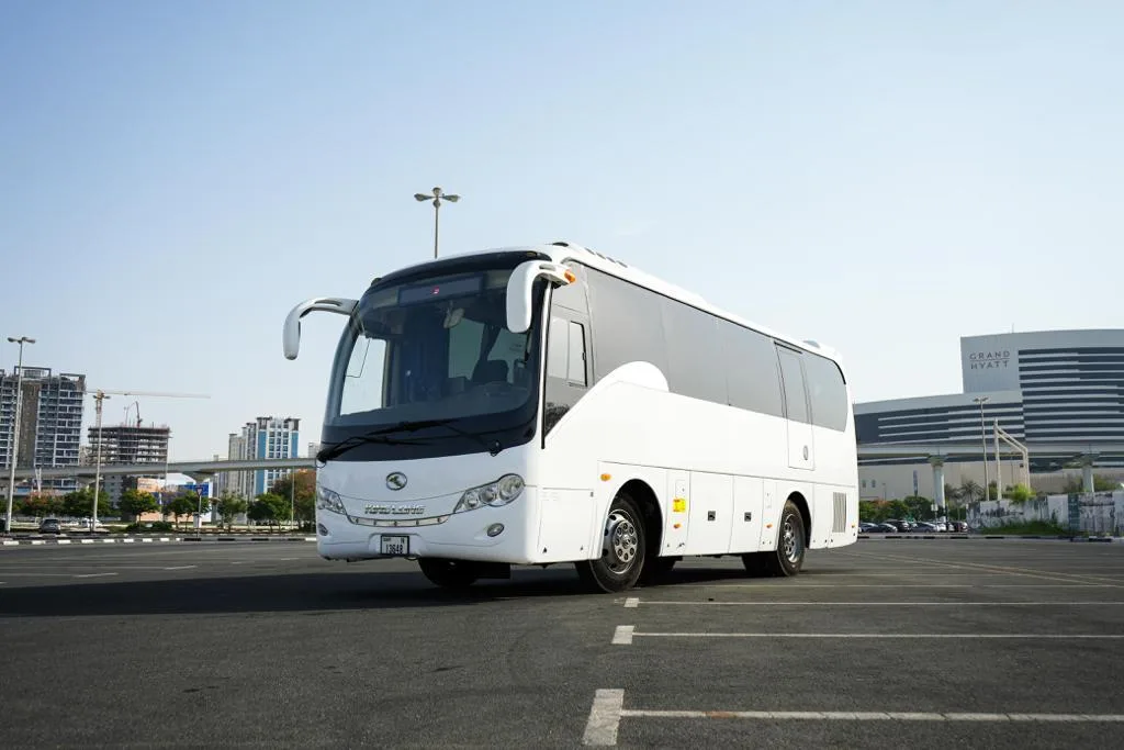 chauffeur and limousine service