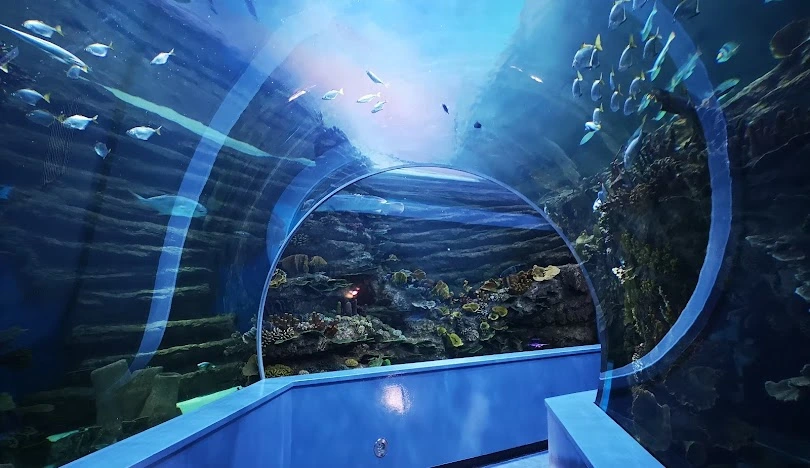 `Visit sharjah aquarium with Cabiolimo chauffeur services