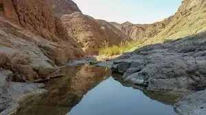 visit wadi wurayah national park with Cabiolimo chauffer service