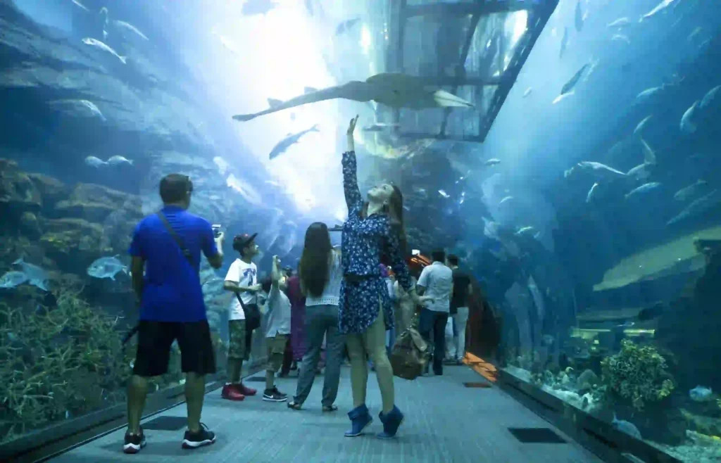 Chauffeur service & airport transfer in UAE for Dubai Mall and Burj Khalifa visit